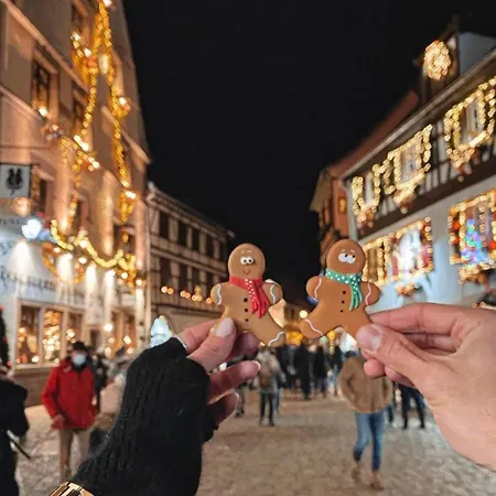 L'adresse Rempart Sud - Centre Historique Lägenhet Eguisheim