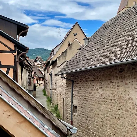 Appartement L'adresse Rempart Sud - Centre Historique Eguisheim